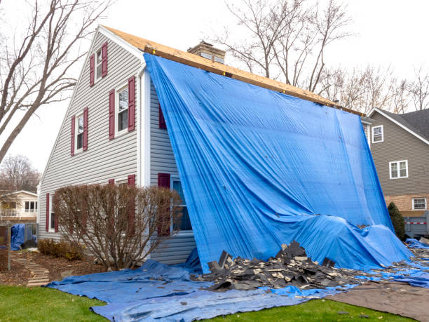 Best Carpet Removal and Disposal  in Cullowhee, NC